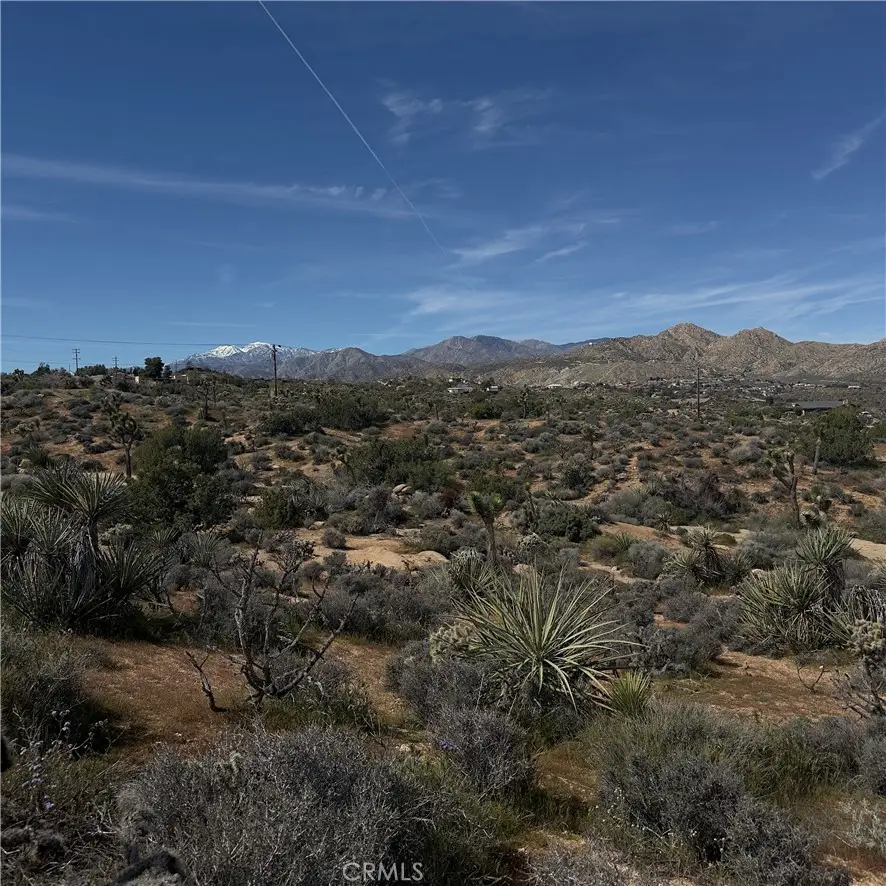 8164 Jemez, Yucca Valley, CA 92284 - #2