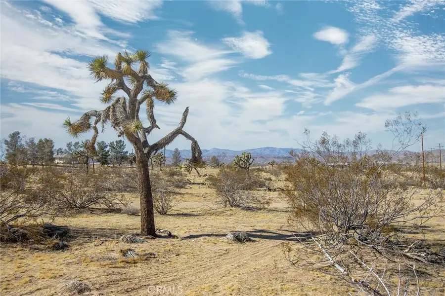 4 Burke Road, Landers, CA 92285 - #3