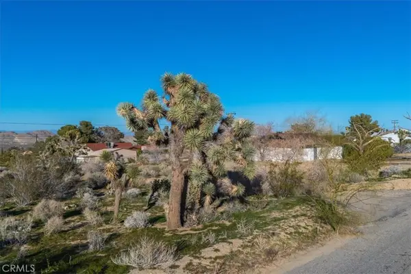 60432 Latham Trail, Joshua Tree, CA 92252