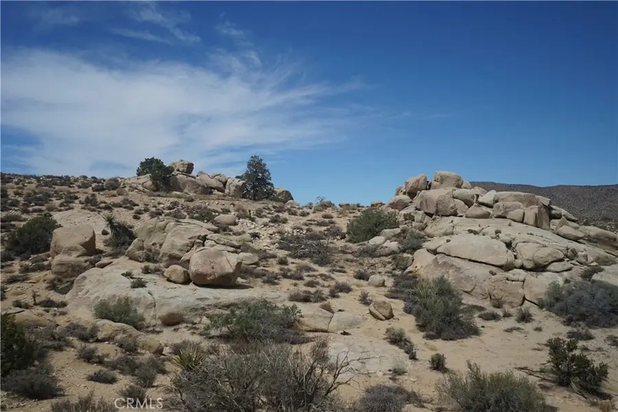 52588 Blackbrush Road, Pioneertown, CA 92268 - #2
