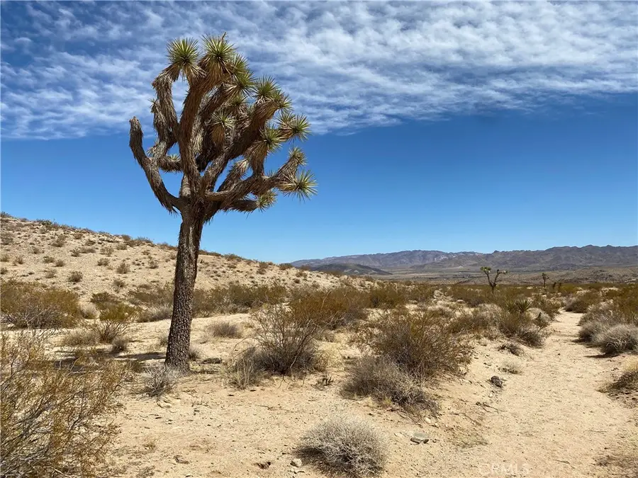 3025 Flamingo Avenue, Joshua Tree, CA 92252 - #3