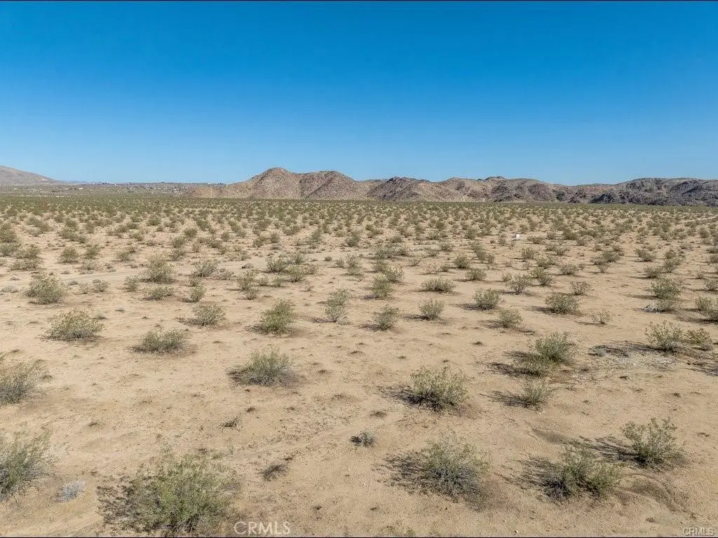 0 California, Joshua Tree, CA 92252 - #1