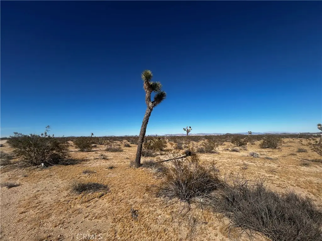 0 Celesta, Joshua Tree, CA 92252 - #1