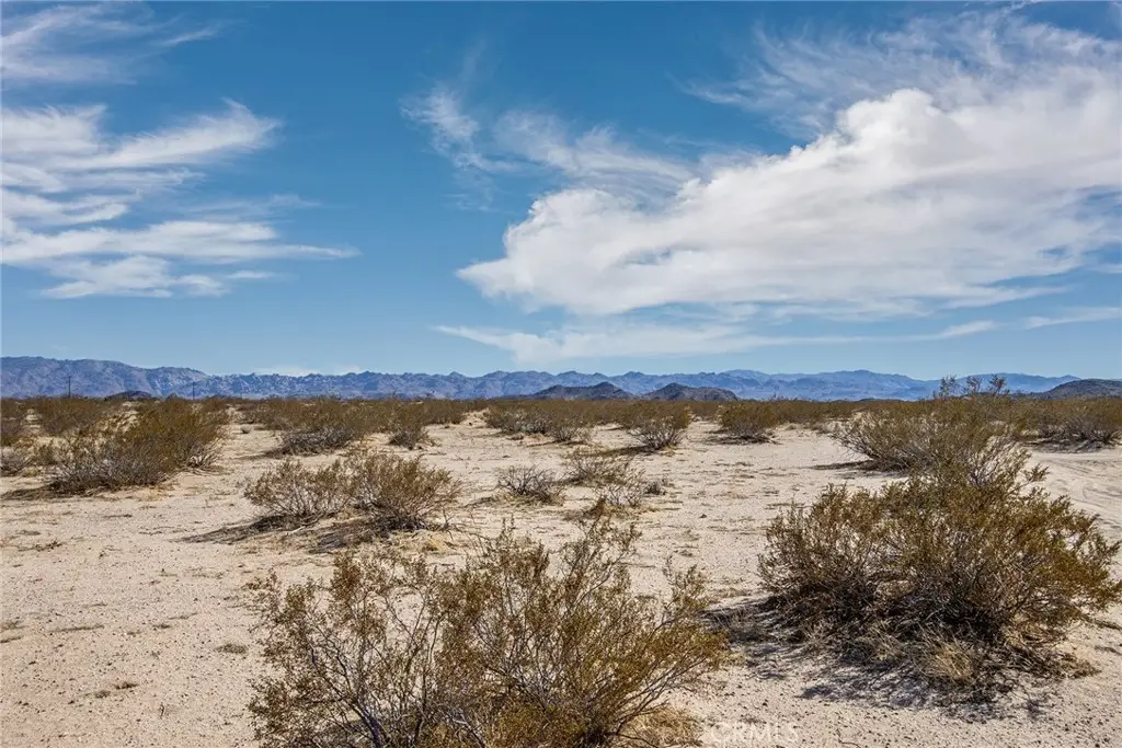 1300 Mt Shasta, Joshua Tree, CA 92252 - #1