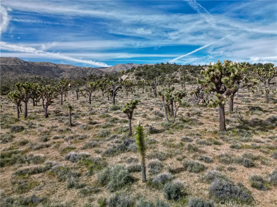 27 Vista Road, Landers, CA 92356 - #3