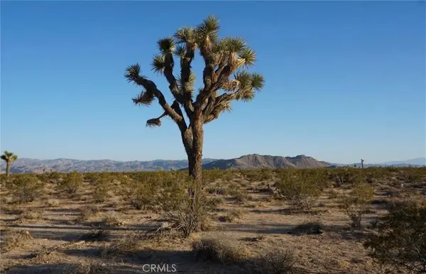 2172 Conejo Avenue, Joshua Tree, CA 92252