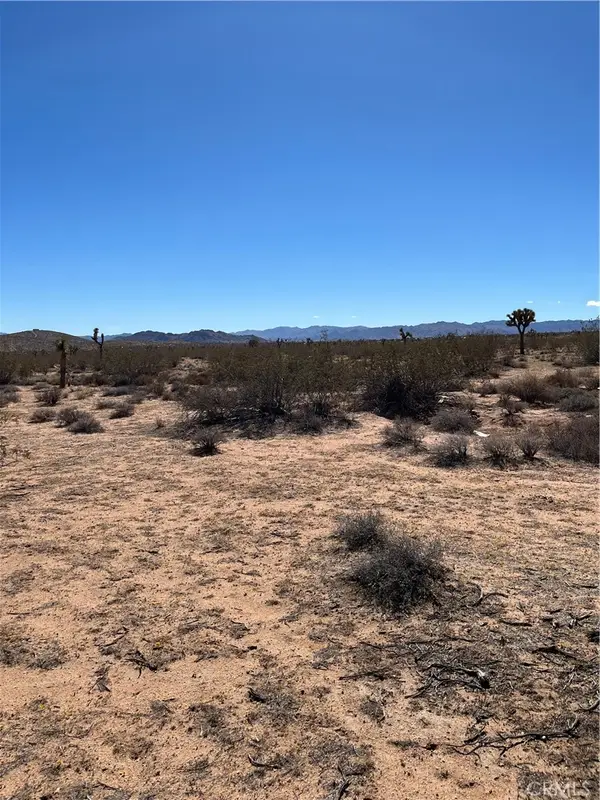 0 Avalon, Landers, CA 92285