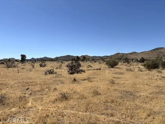 58225 San Andreas Road, Yucca Valley, CA 92284 - #1