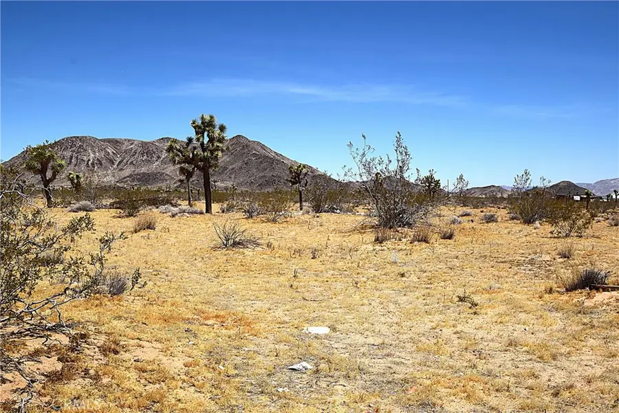 0 Philippi Lane, Landers, CA 92285 - #3