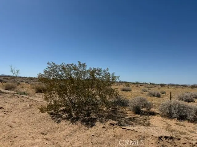 1234 Saturn, Joshua Tree, CA 92252 - #2