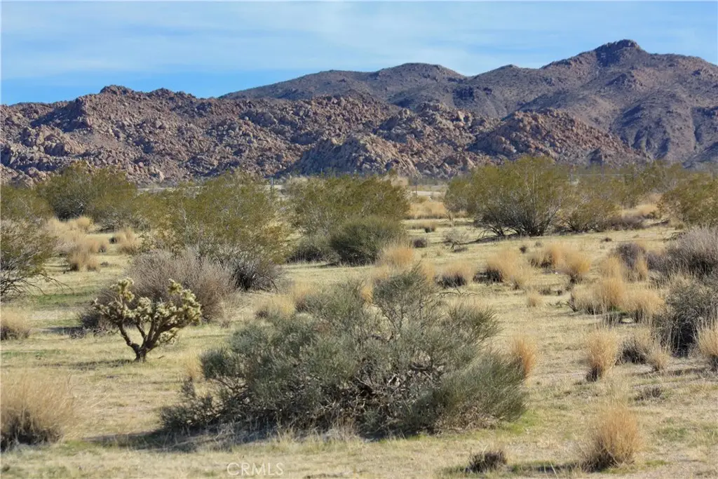 7130 Sunfair Road, Joshua Tree, CA 92252 - #1