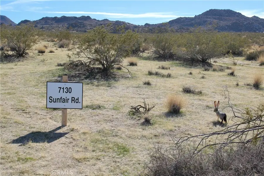 7130 Sunfair Road, Joshua Tree, CA 92252 - #2