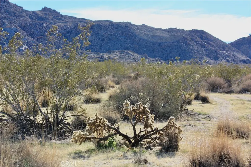 64647 Foothill Drive, Joshua Tree, CA 92252 - #1
