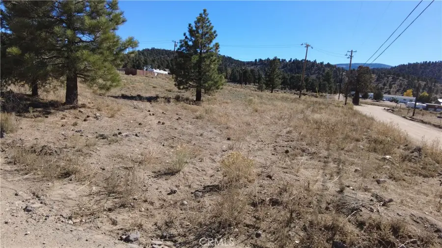 777 Old Pioneer Town Road, Big Bear City, CA 92314 - #2
