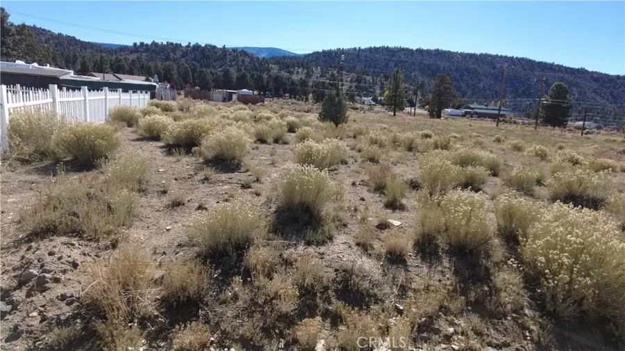 777 Old Pioneer Town Road, Big Bear City, CA 92314 - #3