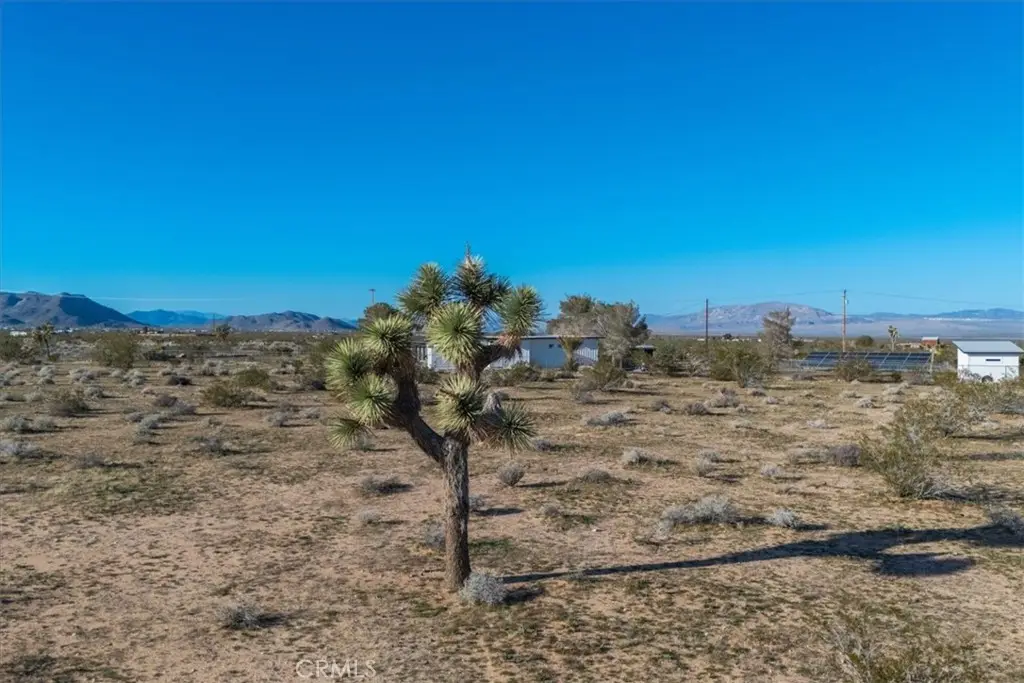 61628 Jupiter Drive, Joshua Tree, CA 92252 - #1