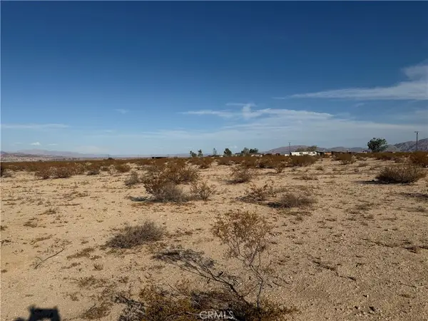 0 Pampas, 29 Palms, CA 92277
