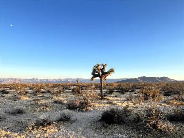 1010 Celeste Road, Joshua Tree, CA 92252