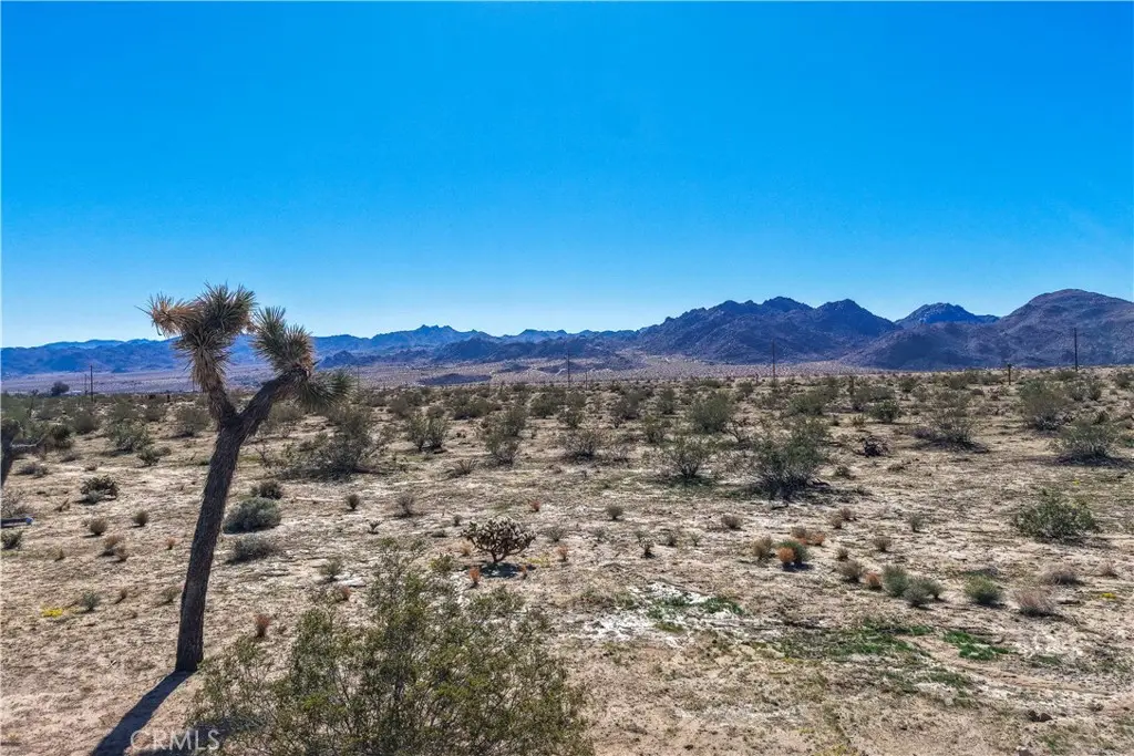 62407 Crestview Drive, Joshua Tree, CA 92252 - #1