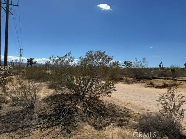 1234 Alta Avenue, Yucca Valley, CA 92284 - #2