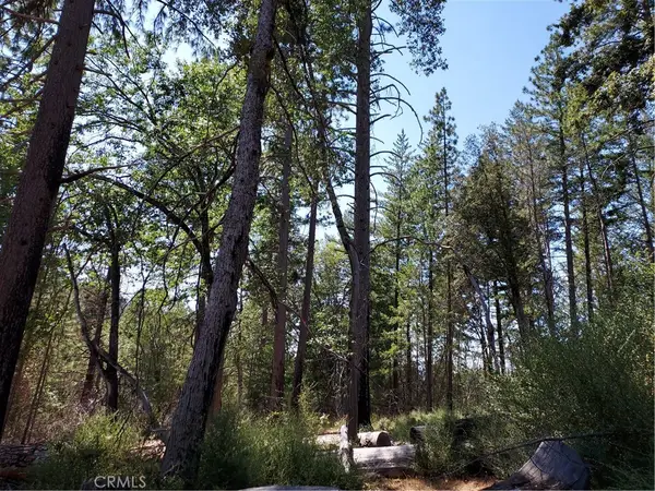 16102 Sugar Pine Ridge Road, Cobb, CA 95426