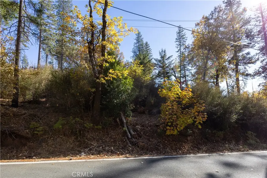 10981 Gifford Springs Road, Cobb, CA 95426 - #2