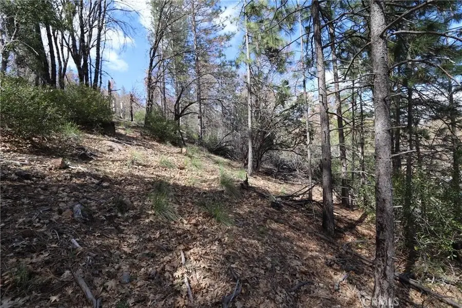 11256 Loch Lomond Road, Lake, CA 95461 - #2