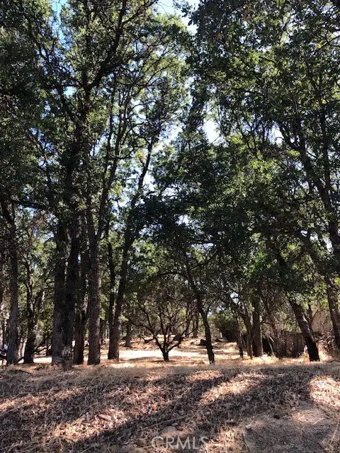 19200 Moon Ridge Road, Hidden Valley Lake, CA 95467 - #1