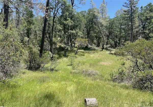 9660 Harrington Flat Road, Loch Lomond, CA 95461