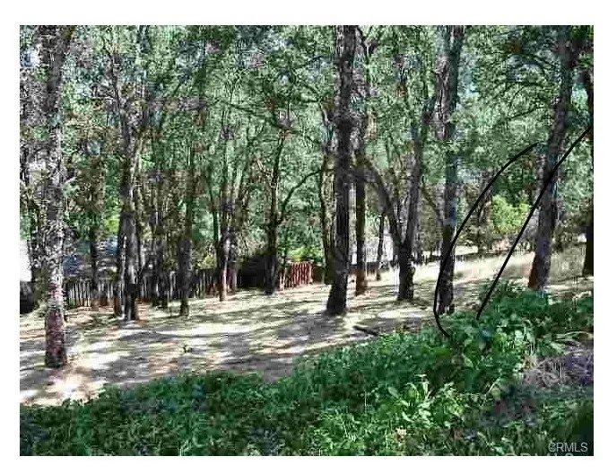 7891 Soda Bay Road, Kelseyville, CA 95451 - Image #1