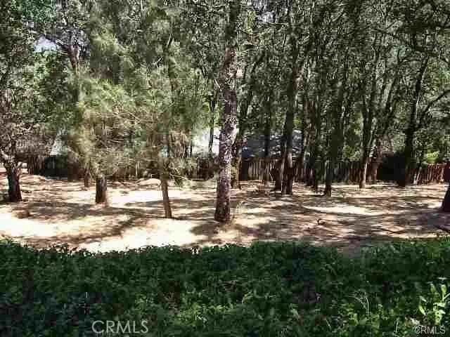 7891 Soda Bay Road, Kelseyville, CA 95451 - Image #3