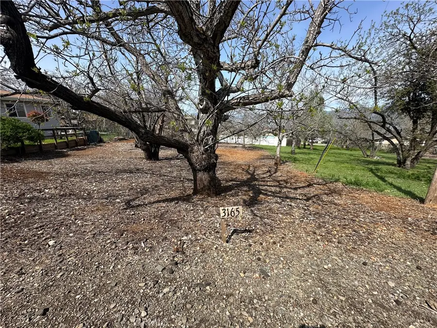 3165 Marina View Drive, Kelseyville, CA 95451 - #2