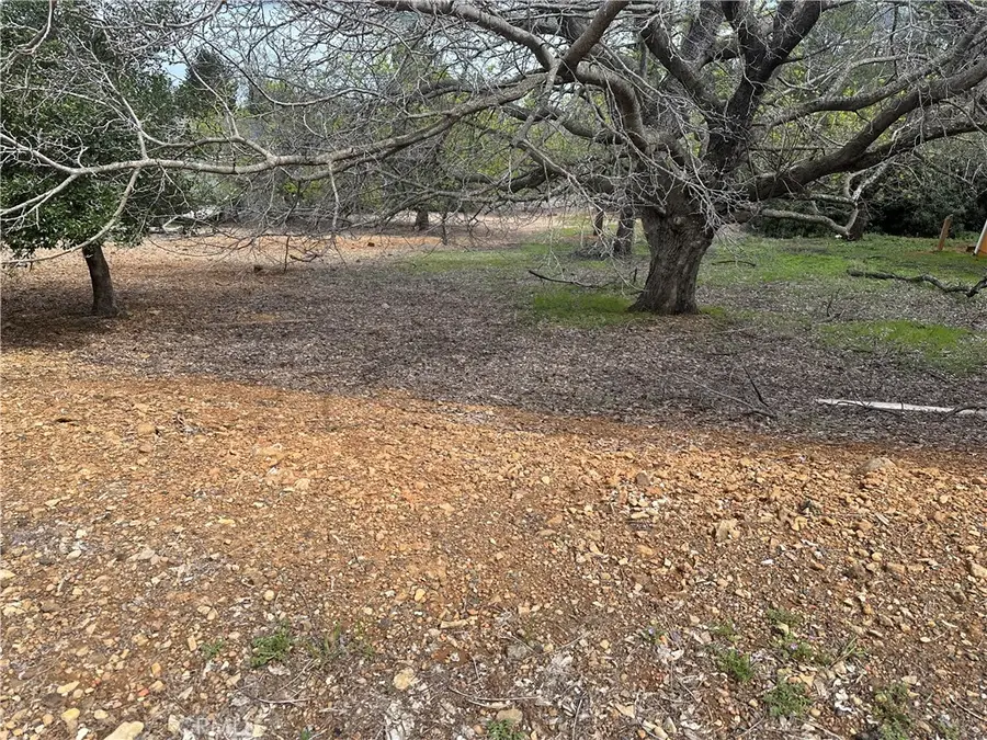 3552 Crestwood Drive, Kelseyville, CA 95451 - Image #2