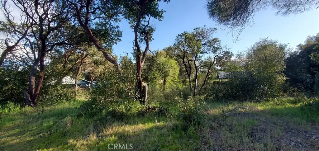13577 Sonoma Avenue, Clearlake, CA 95422 - #1