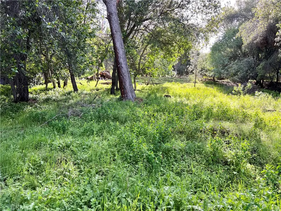 3356 Southlake Court, Kelseyville, CA 95451 - #2