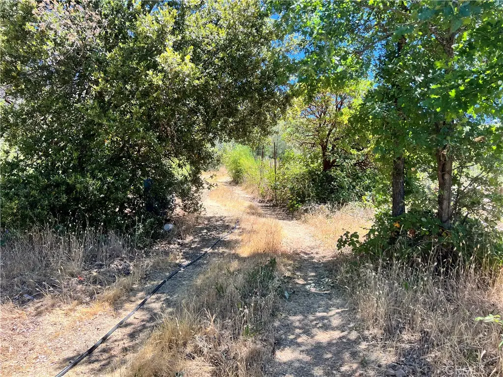 10725 Gifford Springs Road, Cobb, CA 95426 - Image #1