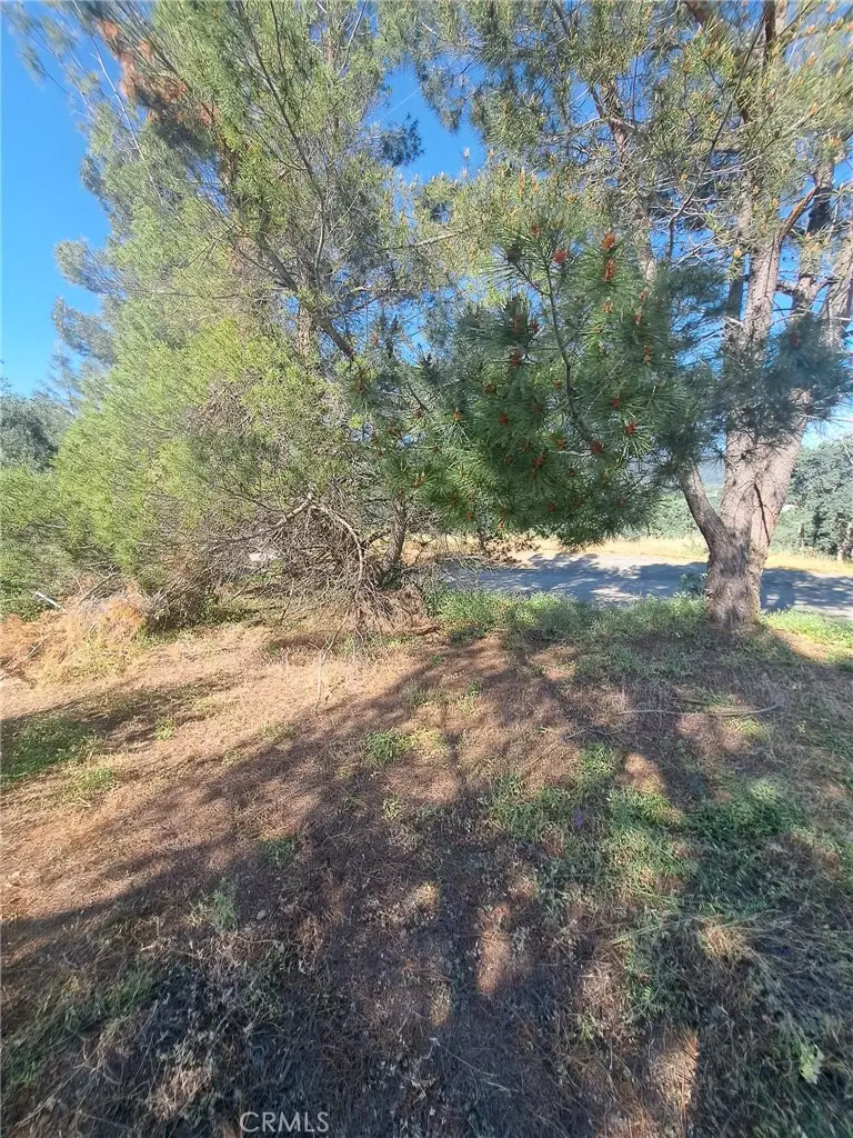 16125 14th Avenue, Clearlake, CA 95422 - #2