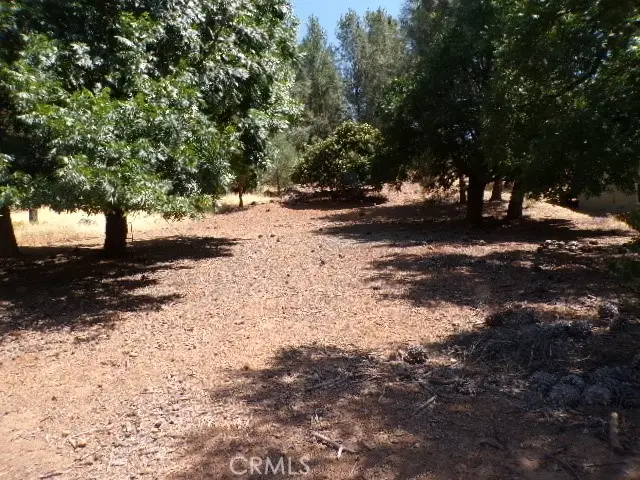 10318 Hok Has Ha Lane, Clearlake Riviera, CA 95453 - #1