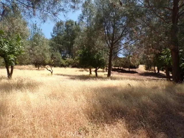 10318 Hok Has Ha Lane, Clearlake Riviera, CA 95453 - #2
