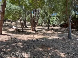 #1