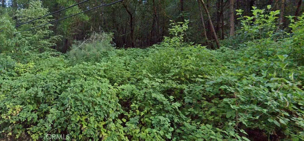 15845 Bottle Rock Road, Cobb, CA 95426 - Image #1