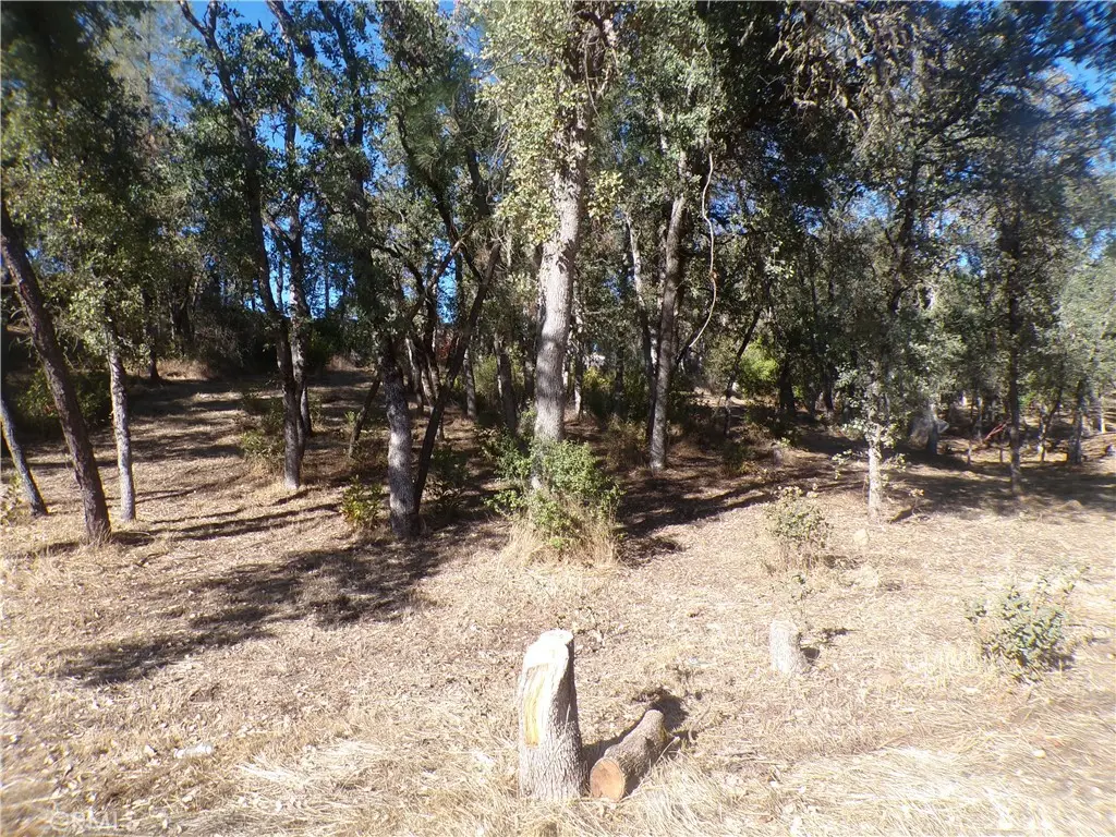 15608 36th Avenue, Clearlake, CA 95422 - #1