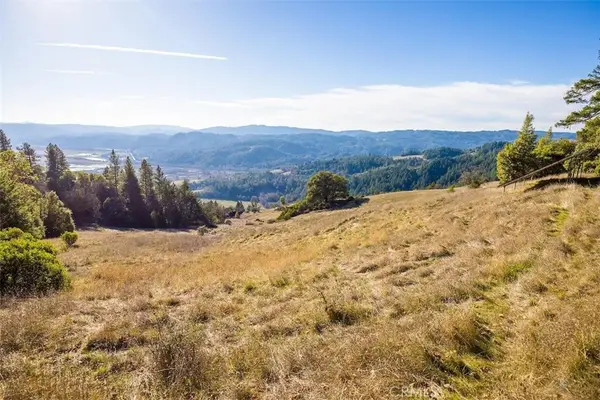 25996 String Creek Road, Willits, CA 95490