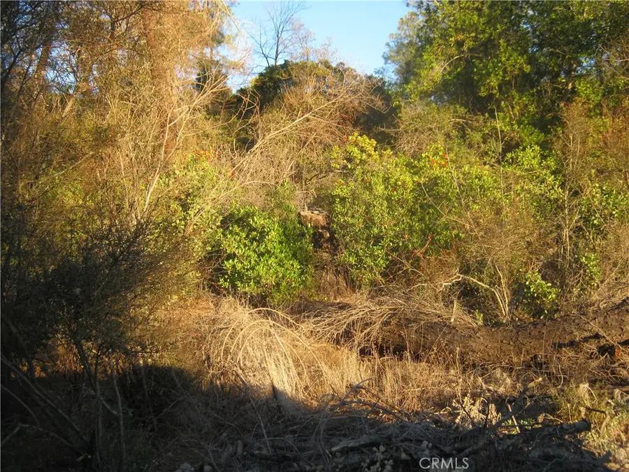 9000 S State Highway 29, Lower Lake, CA 95457 - #3