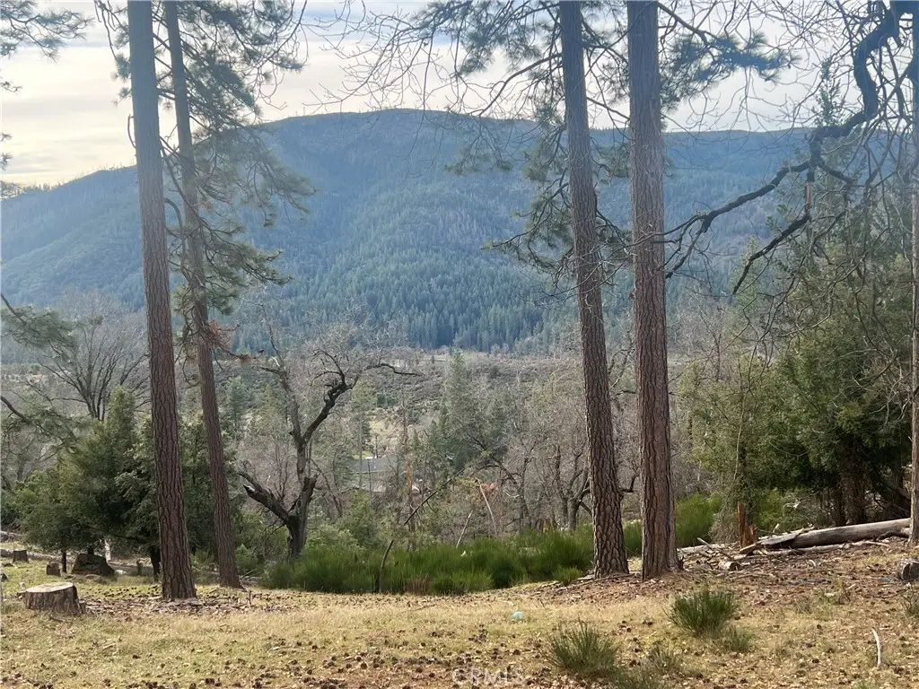 9457 Fox, Cobb, CA 95426 - #1