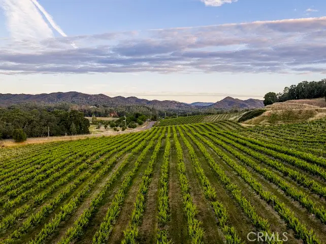 7875 Adobe Creek Road, Kelseyville, CA 95451 - #2