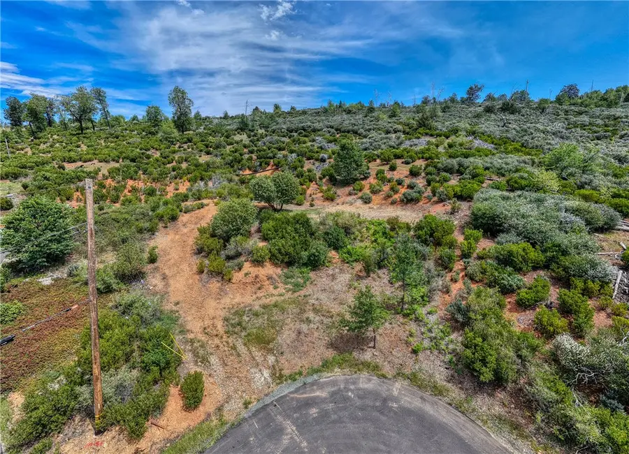 9738 Hoberg Drive E, Cobb, CA 95426 - #2