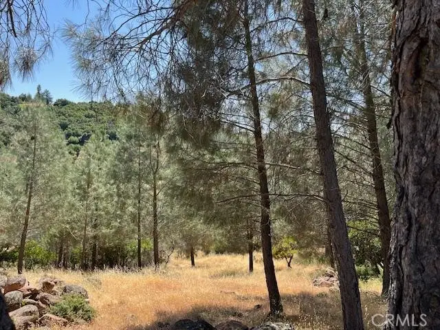 10353 Walnut Way, Kelseyville, CA 95451 - #1