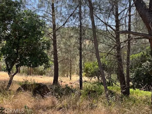 10353 Walnut Way, Kelseyville, CA 95451 - #2