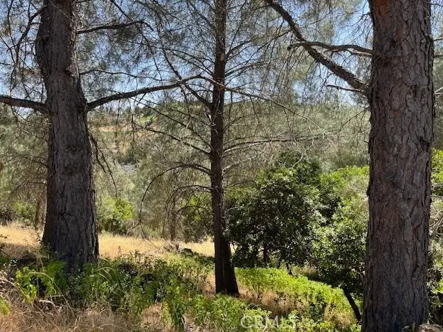 10353 Walnut Way, Kelseyville, CA 95451 - #3